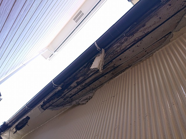 岐阜市で軒天井のモルタルが落下、雨漏りで屋根の内部に水が溜まっていた